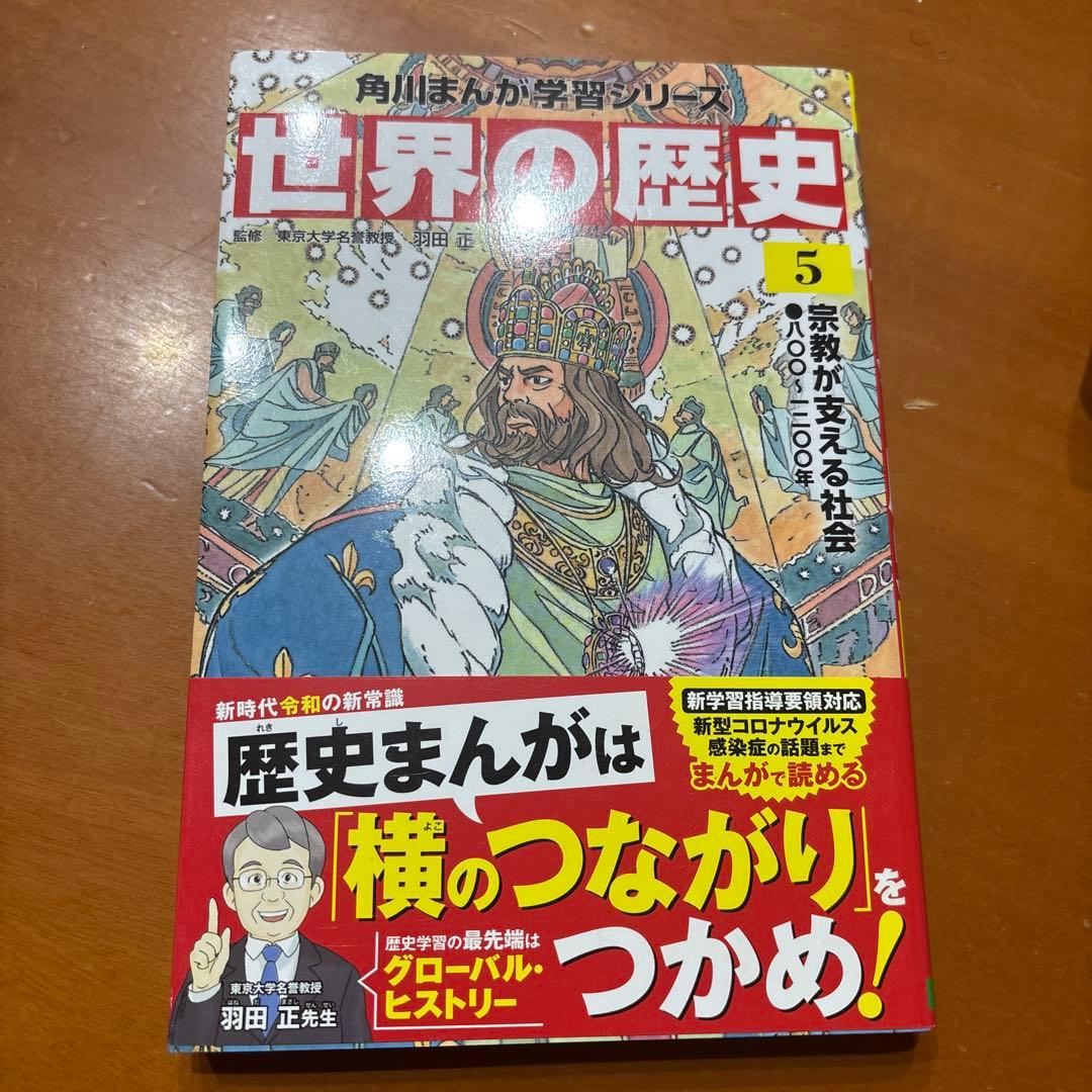 世界の歴史 20冊　まとめ売り