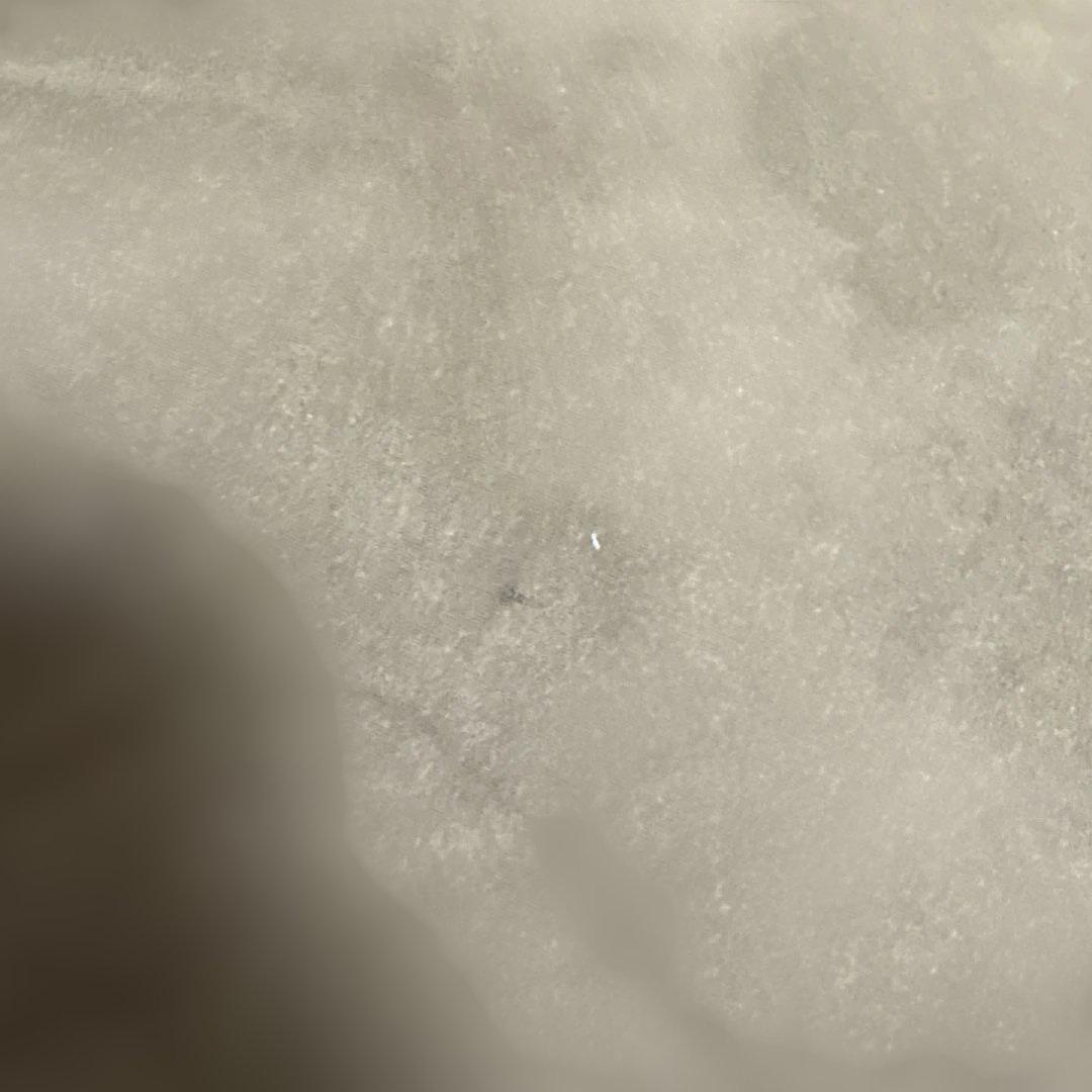 ヨギボーマックス ビーズクッション ブラウン【たのめる便】