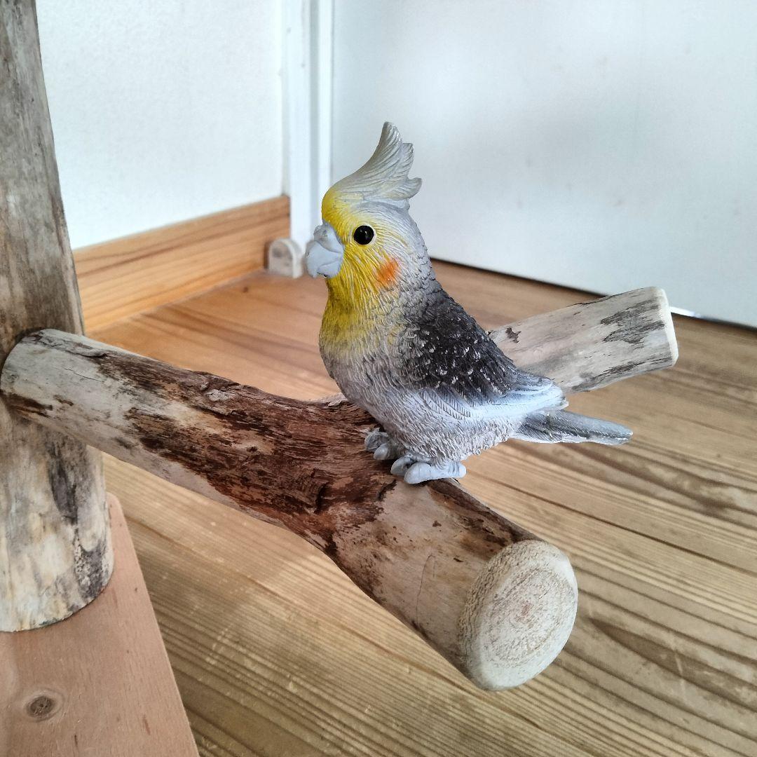 KURIONE SHOP バードアスレチックジム 自然木 流木 止まり木