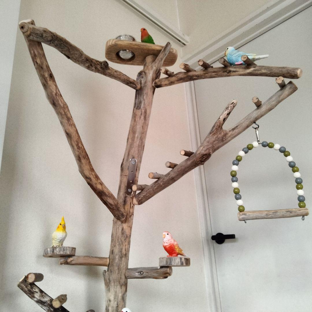 KURIONE SHOP バードアスレチックジム 自然木 流木 止まり木