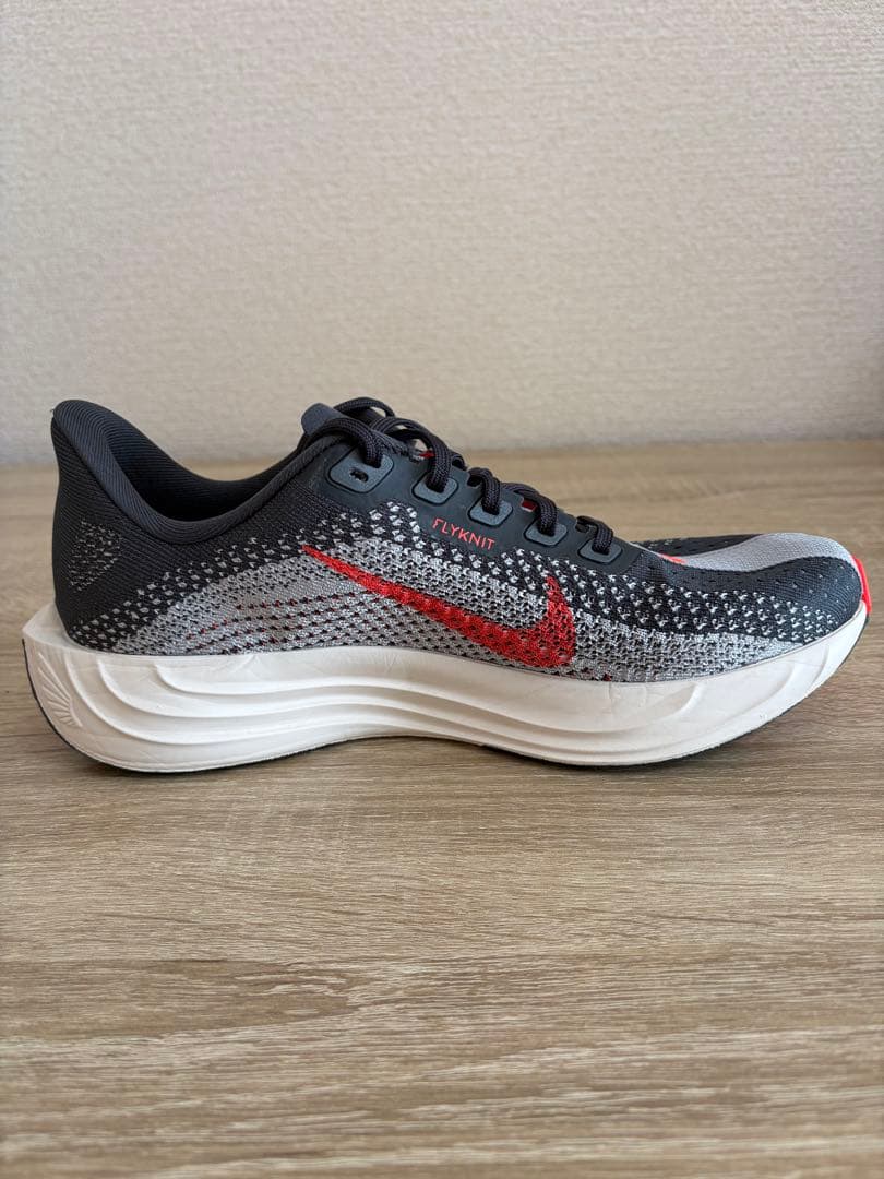 １回使用 ナイキ ペガサスプラス NIKE 25cm メンズ