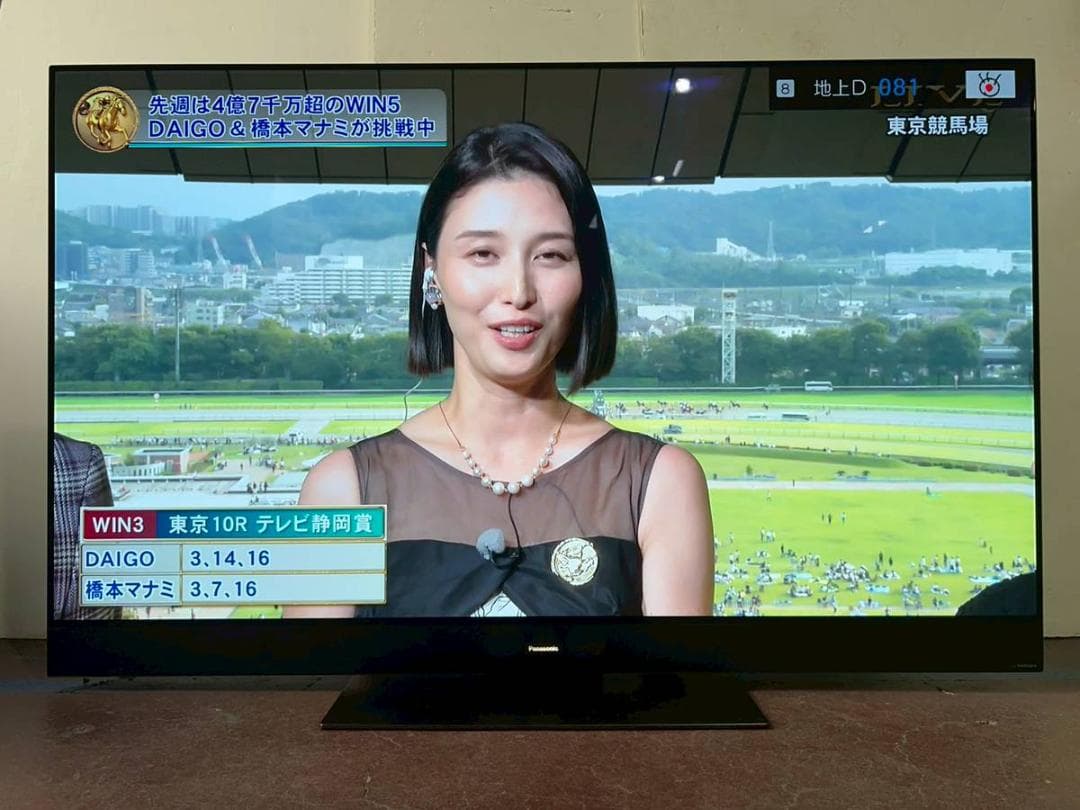 【完動品】Panasonic 有機ELテレビ VIERA TH-55GZ2000