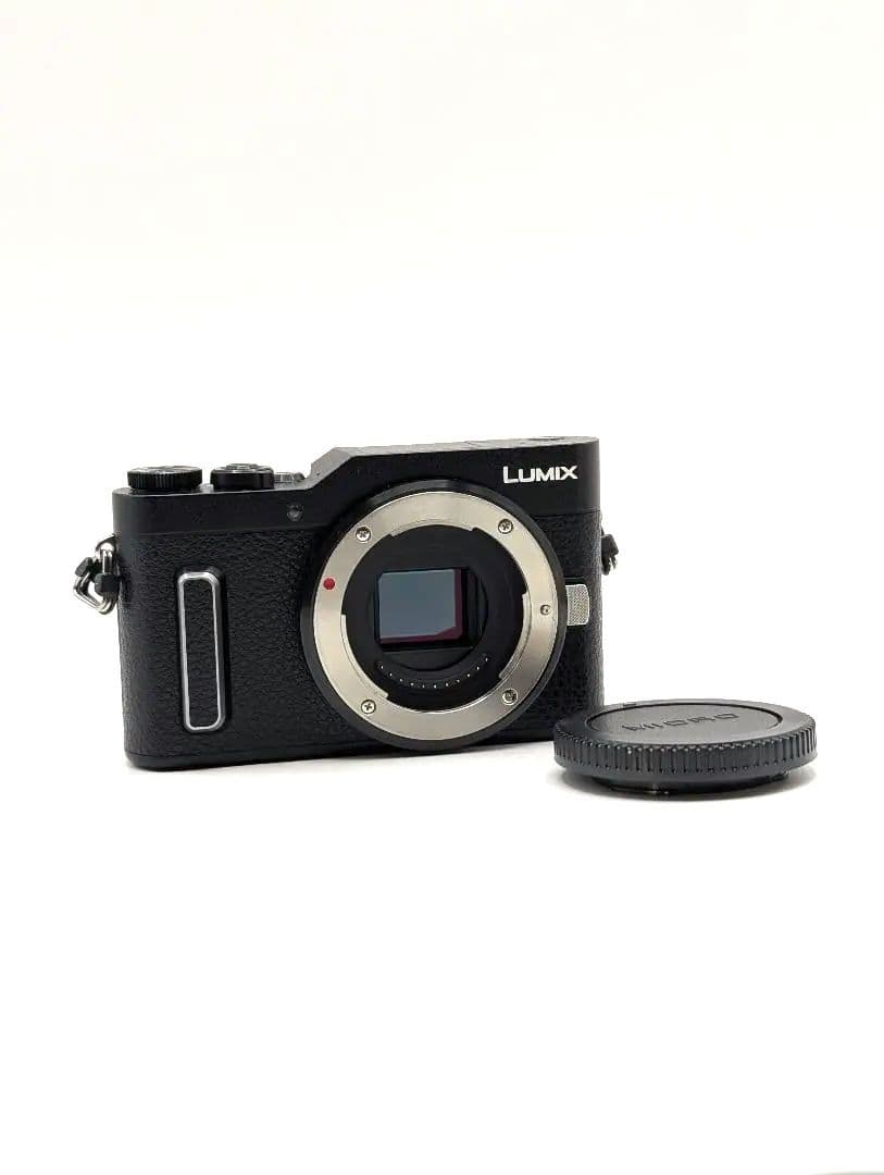 美品 Panasonic LUMIX DC-GF10 ブラック (レンズ無し)