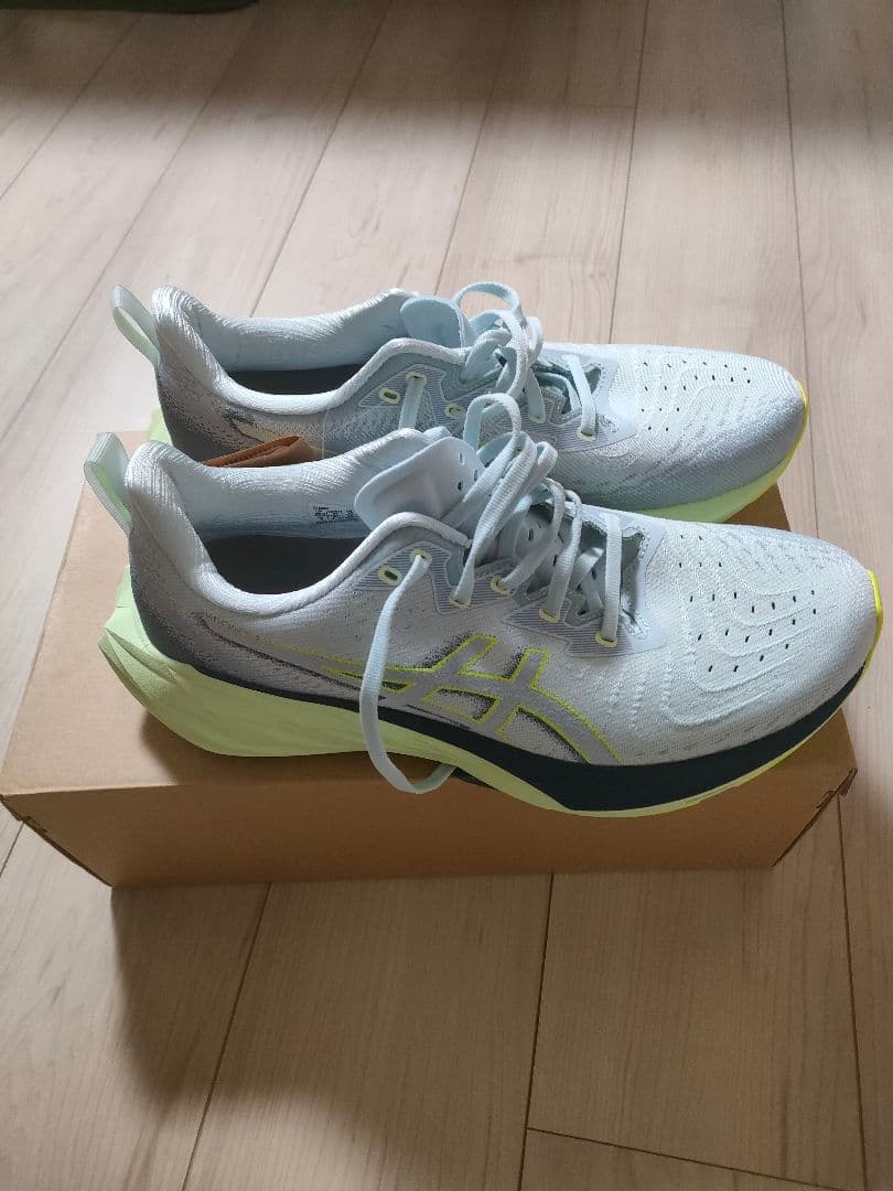 ASICS NOVABLAST4　 ライトグレー　28.0cm