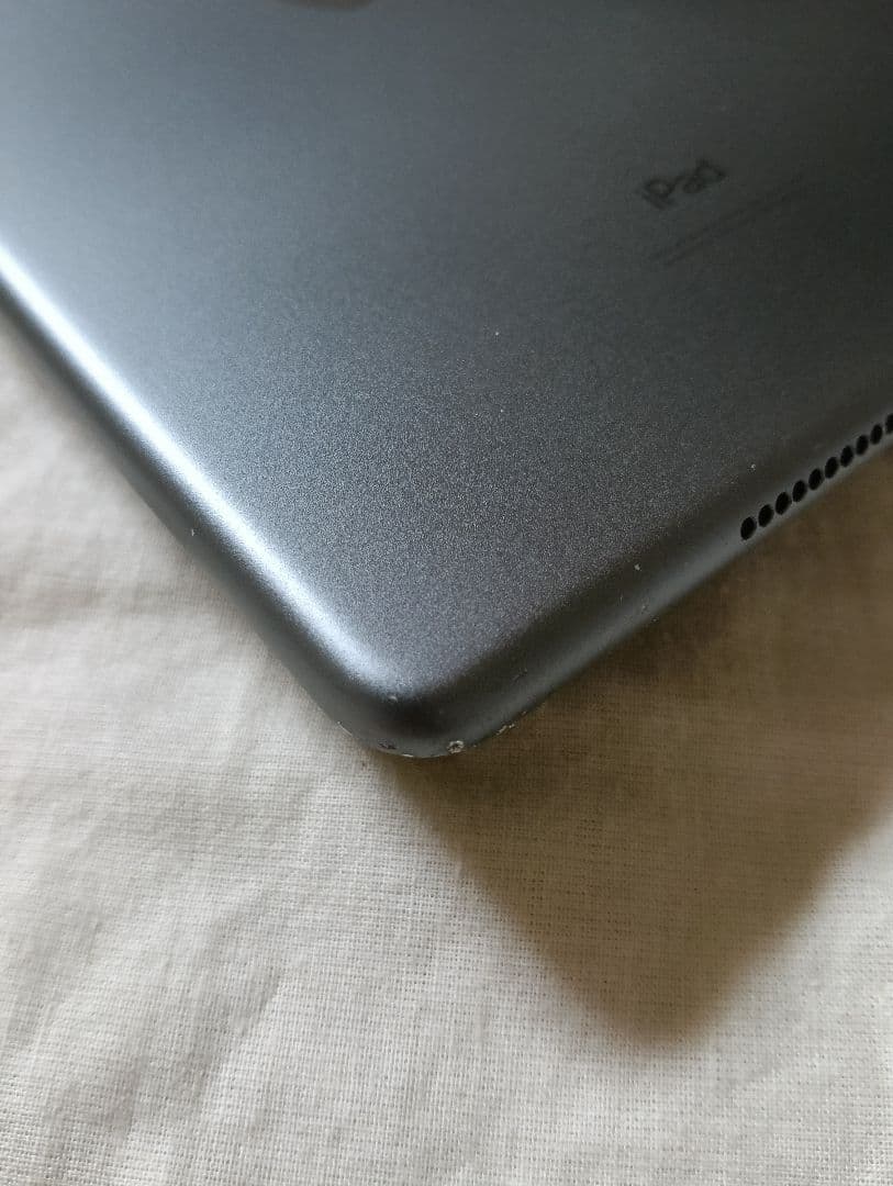 iPad mini 第5世代 バッテリー84%