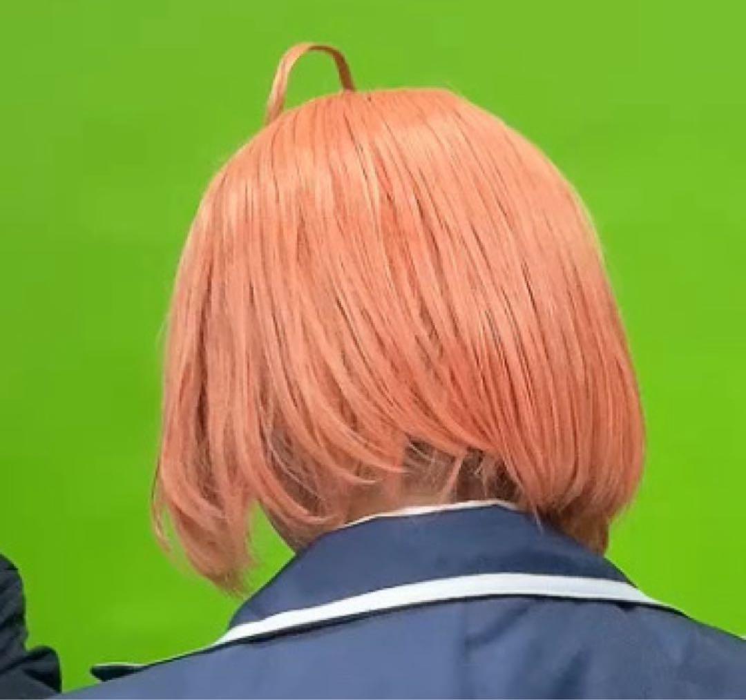 にじさんじ 本間ひまわり コスプレ衣装 フルセット