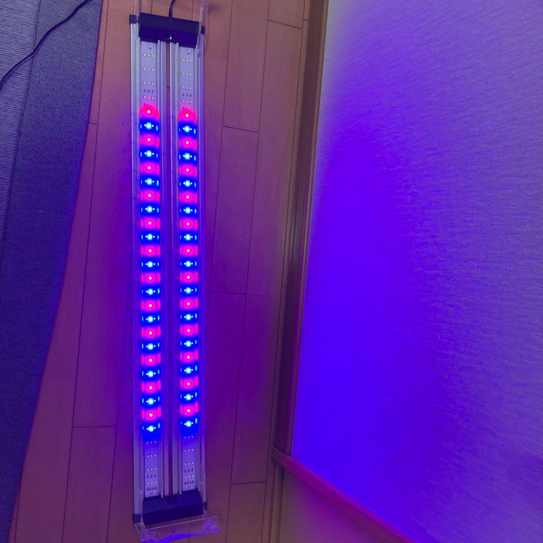 【大特価】KOTOBUKI FLATLEDツイン900　コトブキフラットLED