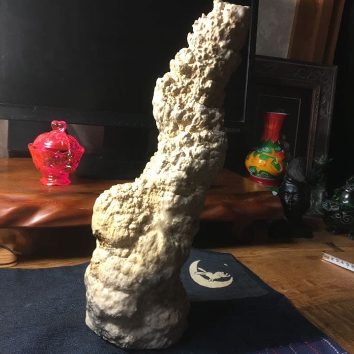 o(^▽^)o遥か昔、6000年(縄文時代)物の石筍(鍾乳石)の芸術品