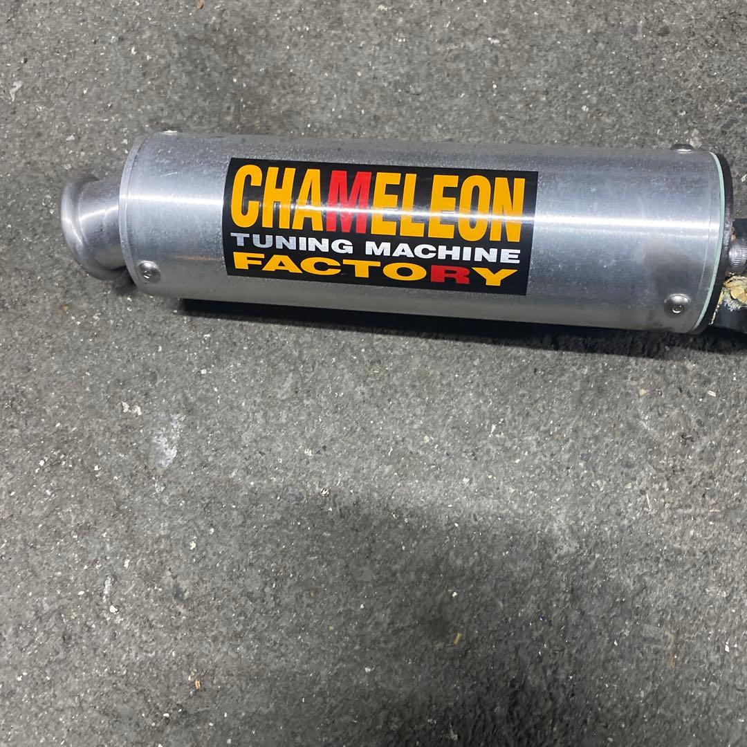 カメレオンファクトリー