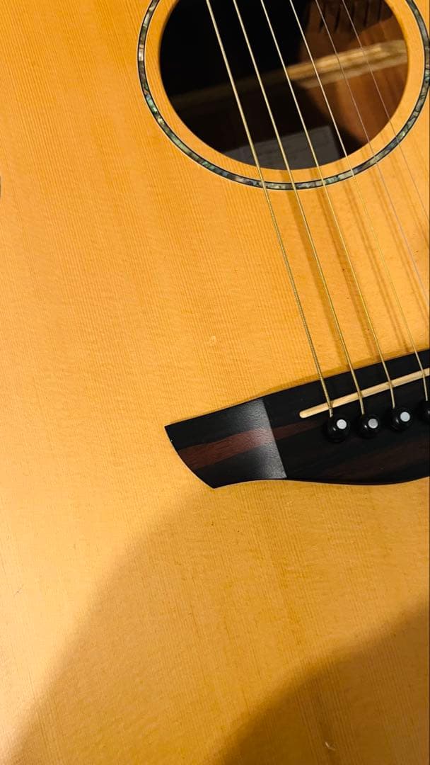 値下げしました！Faith エレアコ/FS3EB