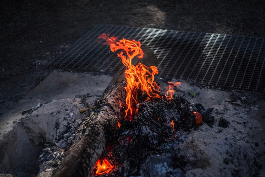 美品+ 分解清掃済 Helios-44-2 58mm f2 ぐるぐるボケ 17