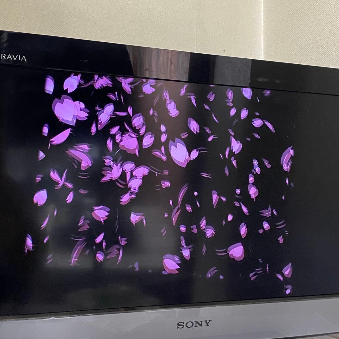 Panasonic DMR-2W201 ブルーレイレコーダー 21年製 生活家電