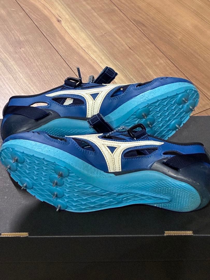 クロノインクスネオジャパン23.0㌢