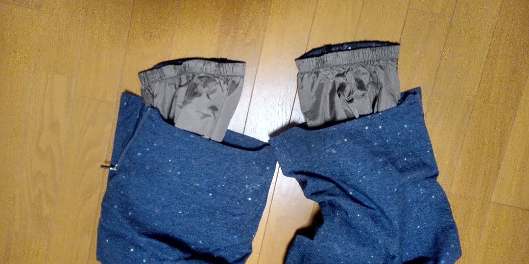 ヘリーハンセン　スキーウェア メンズ 　L パウダー　オフピステ