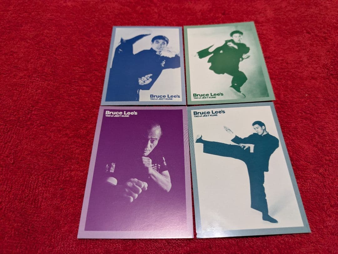 ブルース・リーズ ジークンドーDVDBOX(トレーディングカードあり)