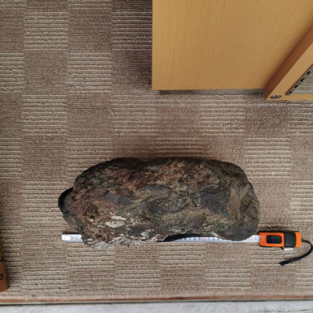 根尾谷産　菊花石　21.2キロ　鑑賞石　石　置物　オブジェ　インテリア　盆石