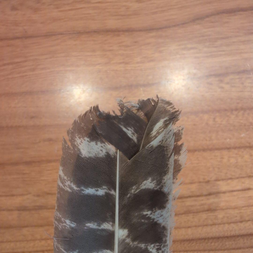 羽箒2点　(1点は未使用 箒博作)