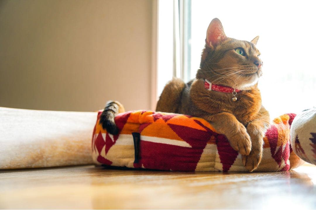 ペットベッド　ハンドメイド465 ペンドルトンリメイク　猫ベッド　犬ベッド