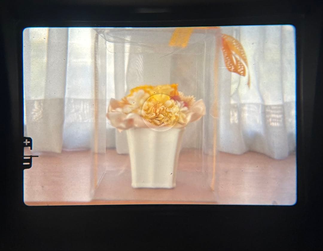 ★ OLYMPUS OM-1 + ★ 標準レンズ 50mm