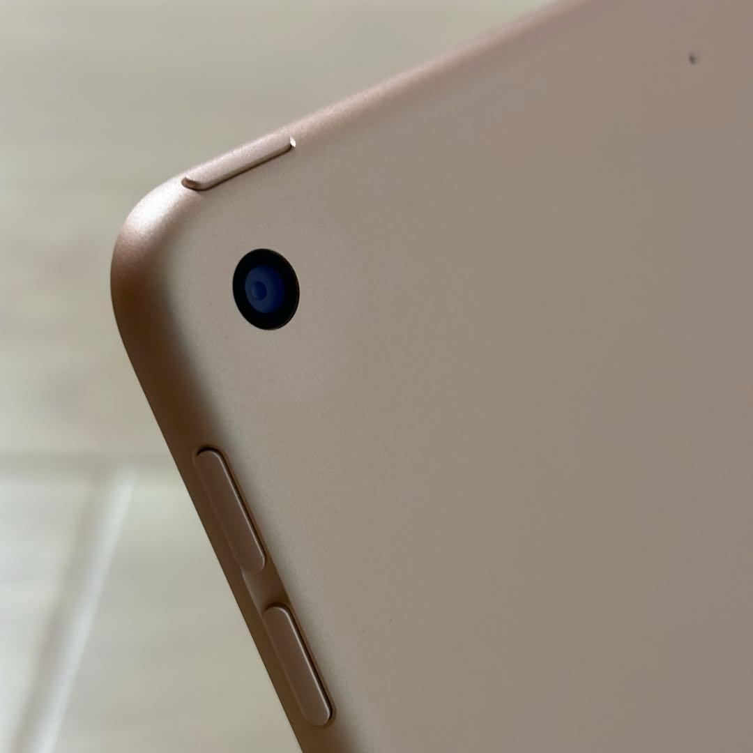 専用ページ　iPad mini 第5世代　本体　64GB 美品　箱付き