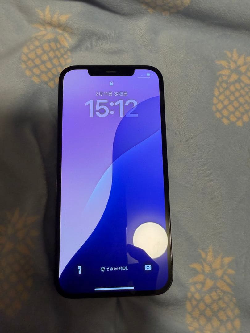 iPhone12promax カメラ消音可 256GB