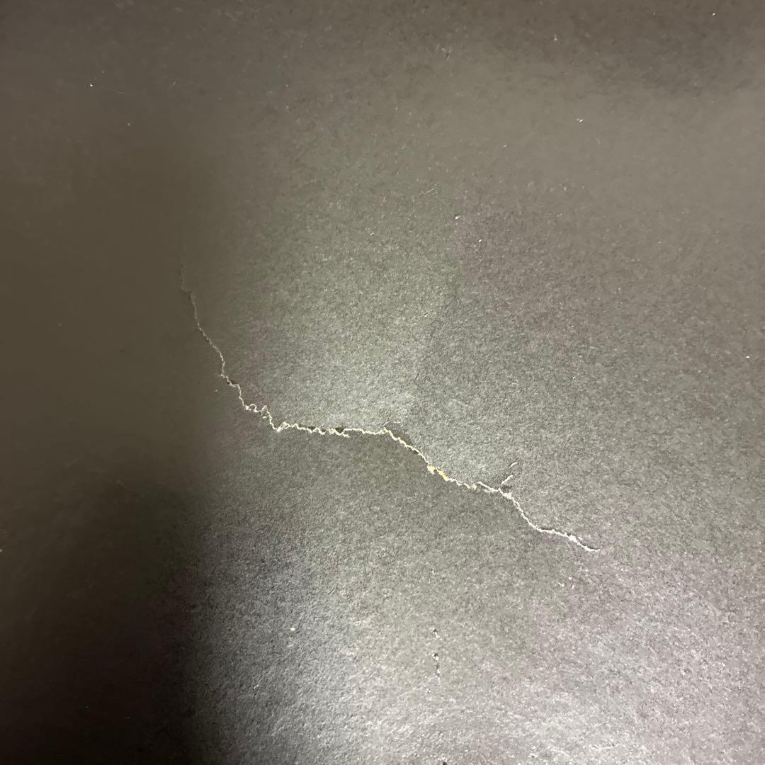 ルノワール「シャルパンティ夫人とその子供たち」複製画