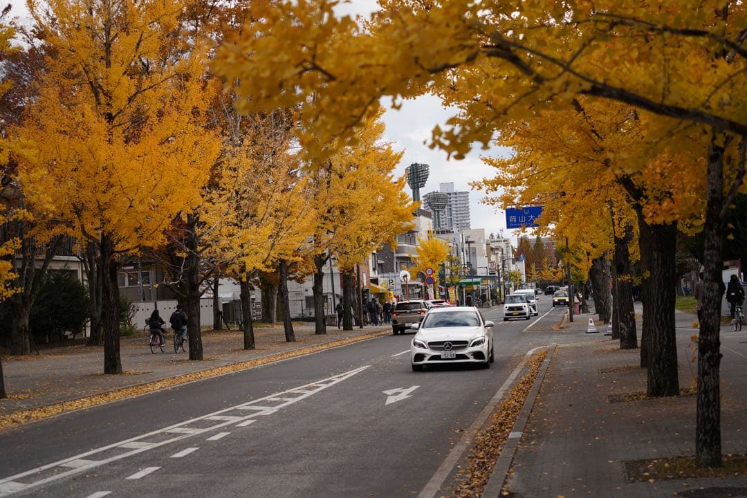 SONY α7 III + TAMRON 70-300mm レンズ