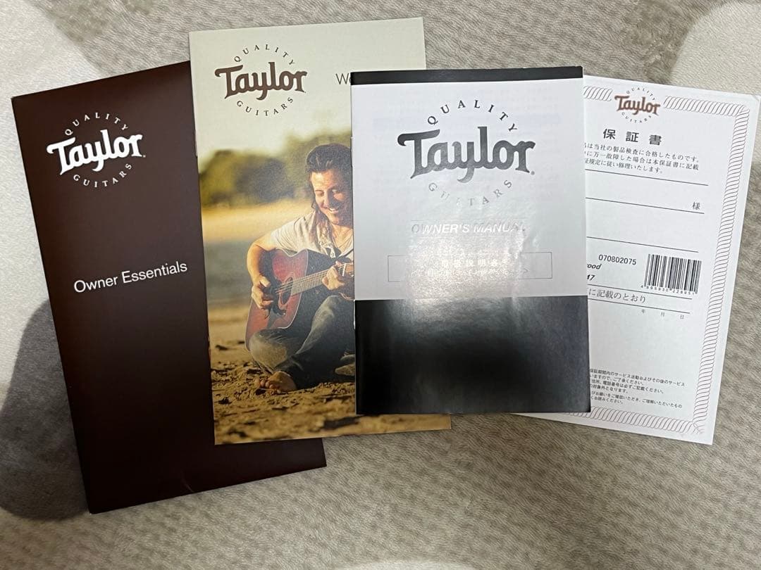 Taylor GS Mini Rosewood ギター