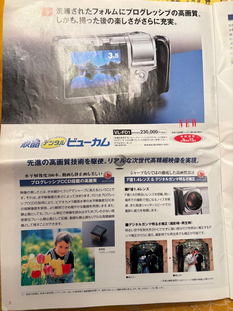 SHARP シャープ VL-FD1 液晶デジタルビューカム ビデオ　バッグ有