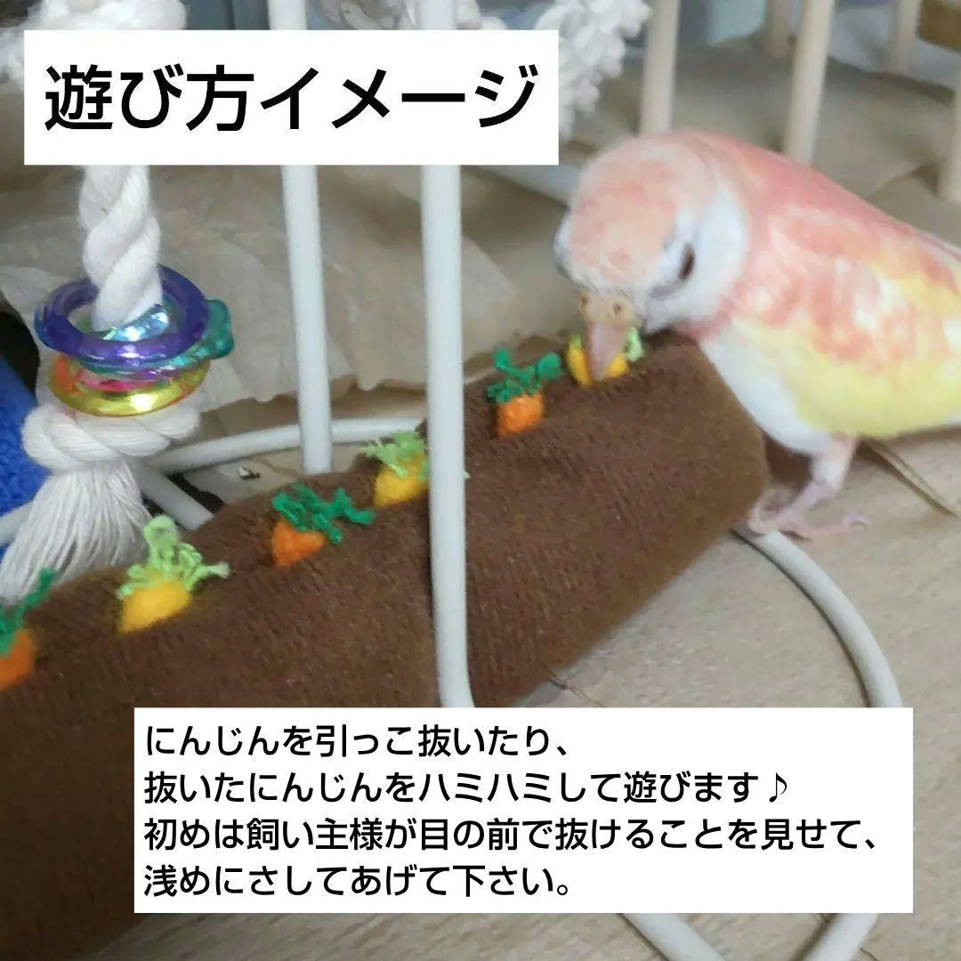 【オーダー用】にんじん畑　おもちゃ　ぬいぐるみ　バードトイ