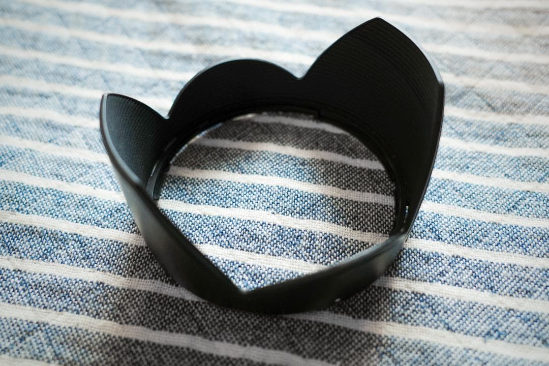 nikon用 タムロン 28-300mm F/3.5-6.3 Di VC PZD