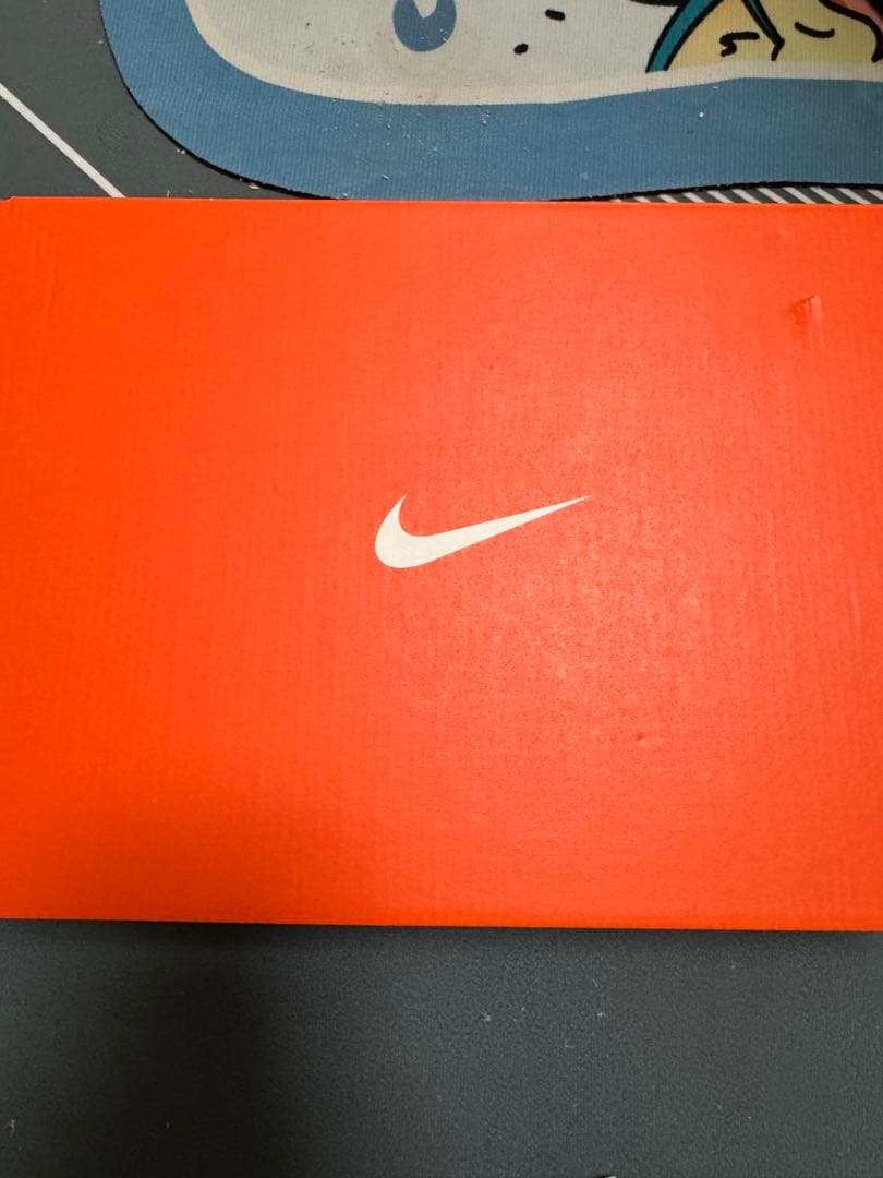 Nike マックスフライ2 サイズ26.0cm パンク無し