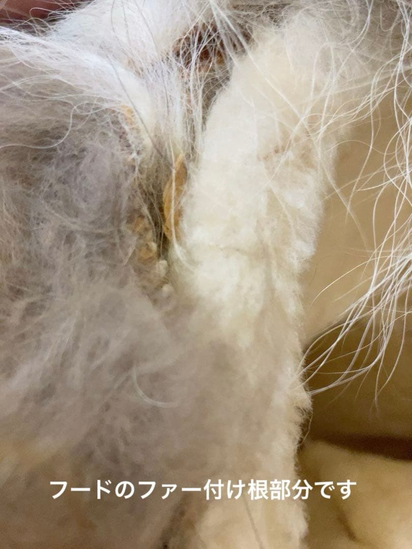 SAWYER OF NAPA ソーヤーオブナパ　ラム　ムートン　コート　コヨーテ