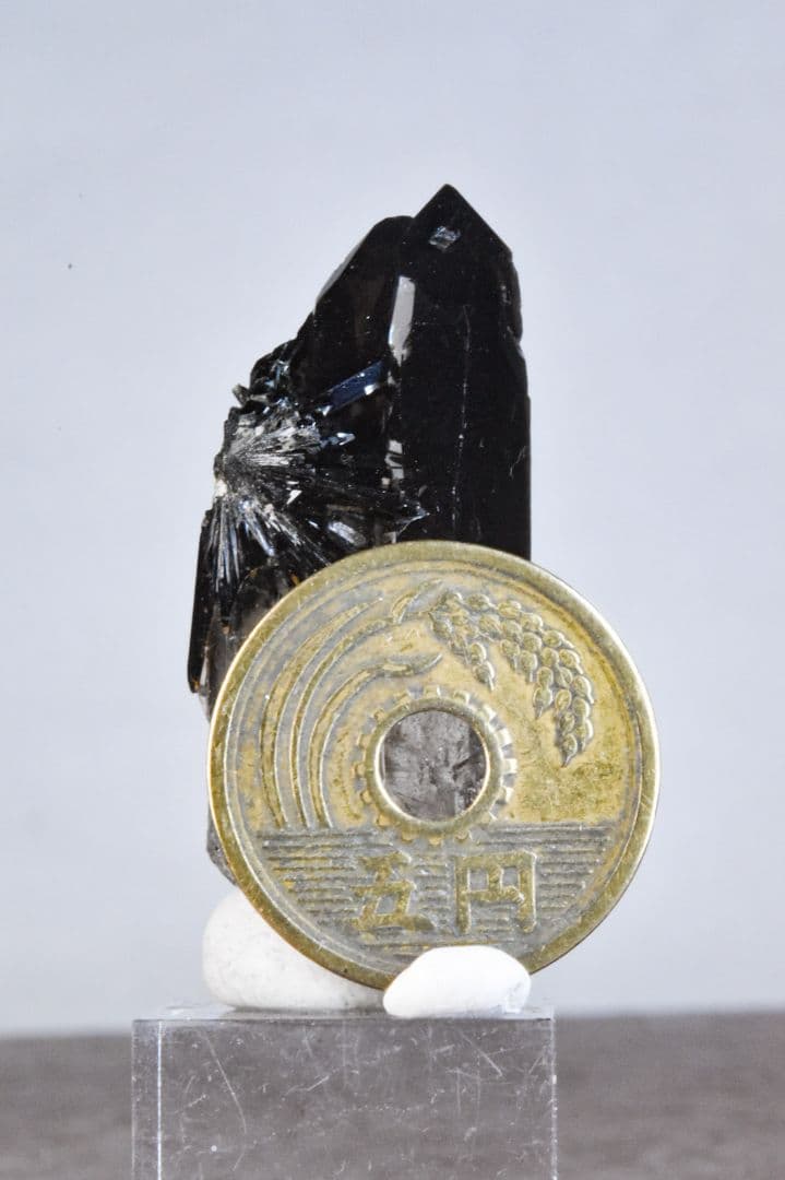 マラウイ産 放射状エジリン付きスモーキークォーツ