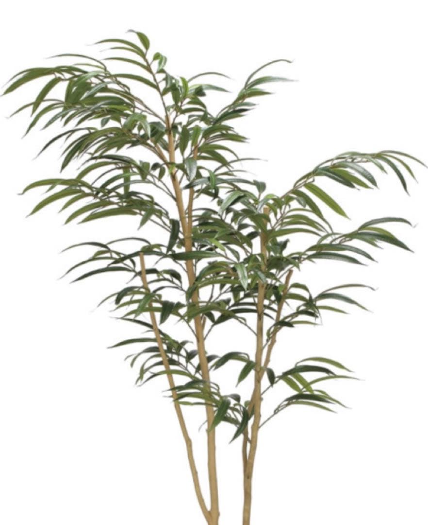 光触媒　人工観葉植物　フェイクグリーン　ウッドボックスショウナンゴム1.8m