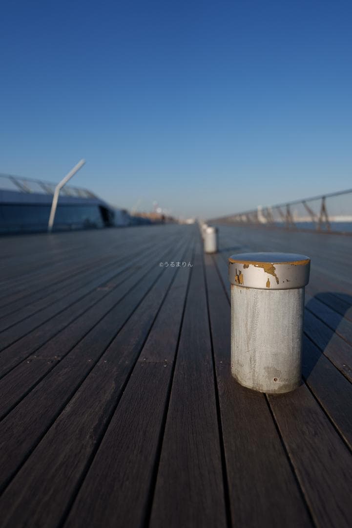 YoshiT様 VLOG時代の標準レンズ！SONY FE 20mm F1.8 G