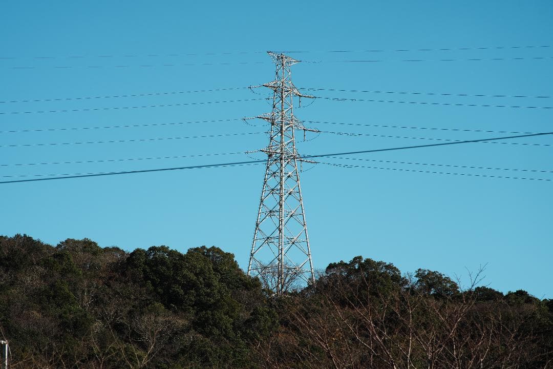 【整備テスト】オリンパス Zuiko Auto-T 135mm F2.8 435