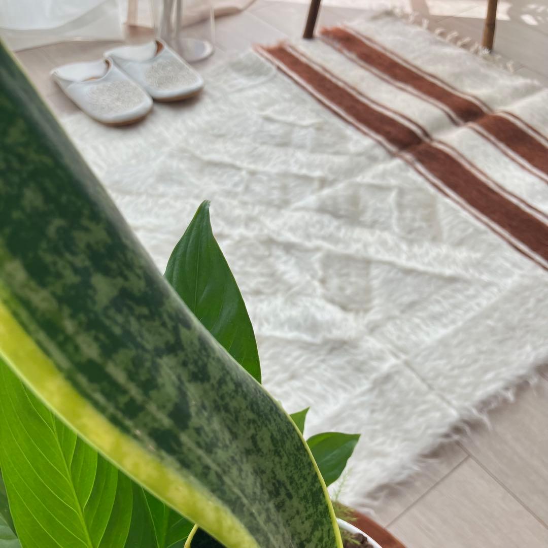 新品wool100％　オフホワイトチョコ　バッターニエ　トルコヴィンテージラグ