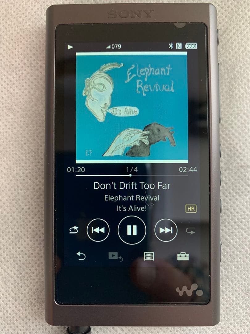 SONY NW-A55 デジタルオーディオプレーヤー　説明を読んで購入願います。