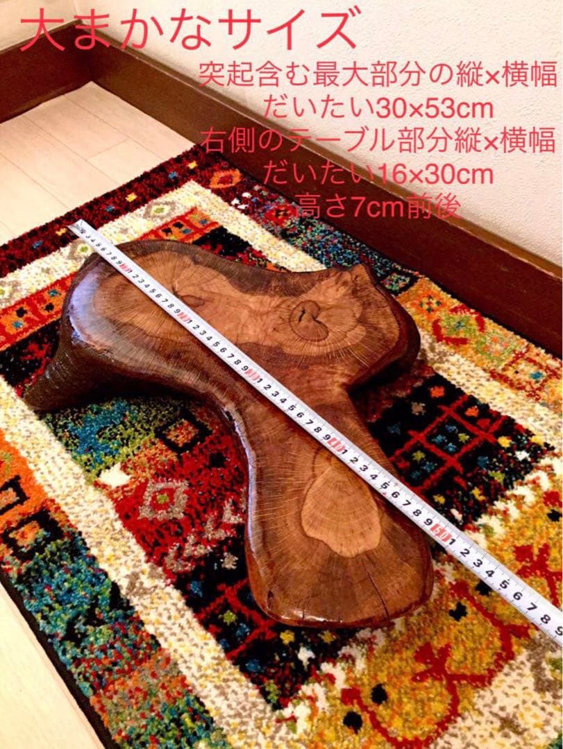 合体樹＊超絶ワイルドな森の切り株テーブル】3本の木々が一体化した希少部位