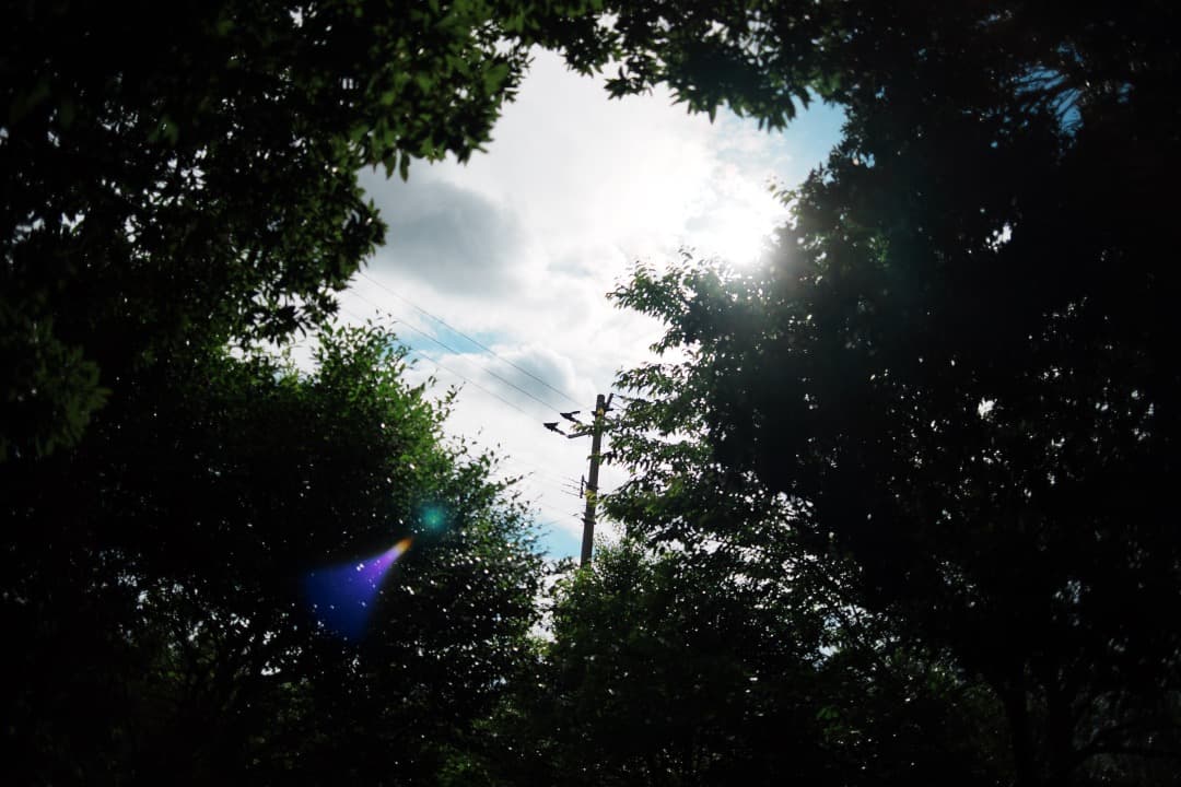 レンズ(単焦点) Carl Zeiss distagon 28mm F2.8 MMJ 528