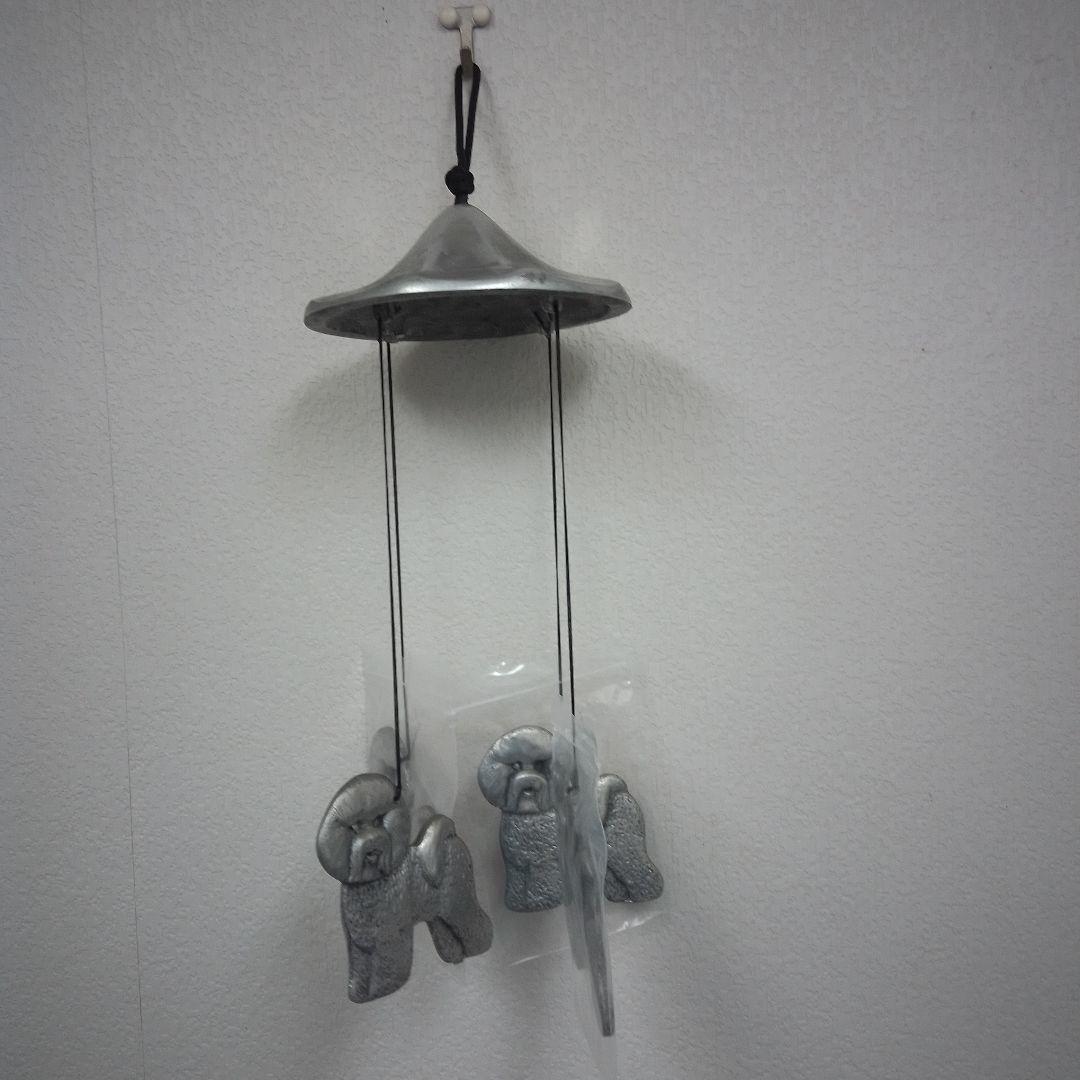 ウインドベル　ビションフリーゼ　希少