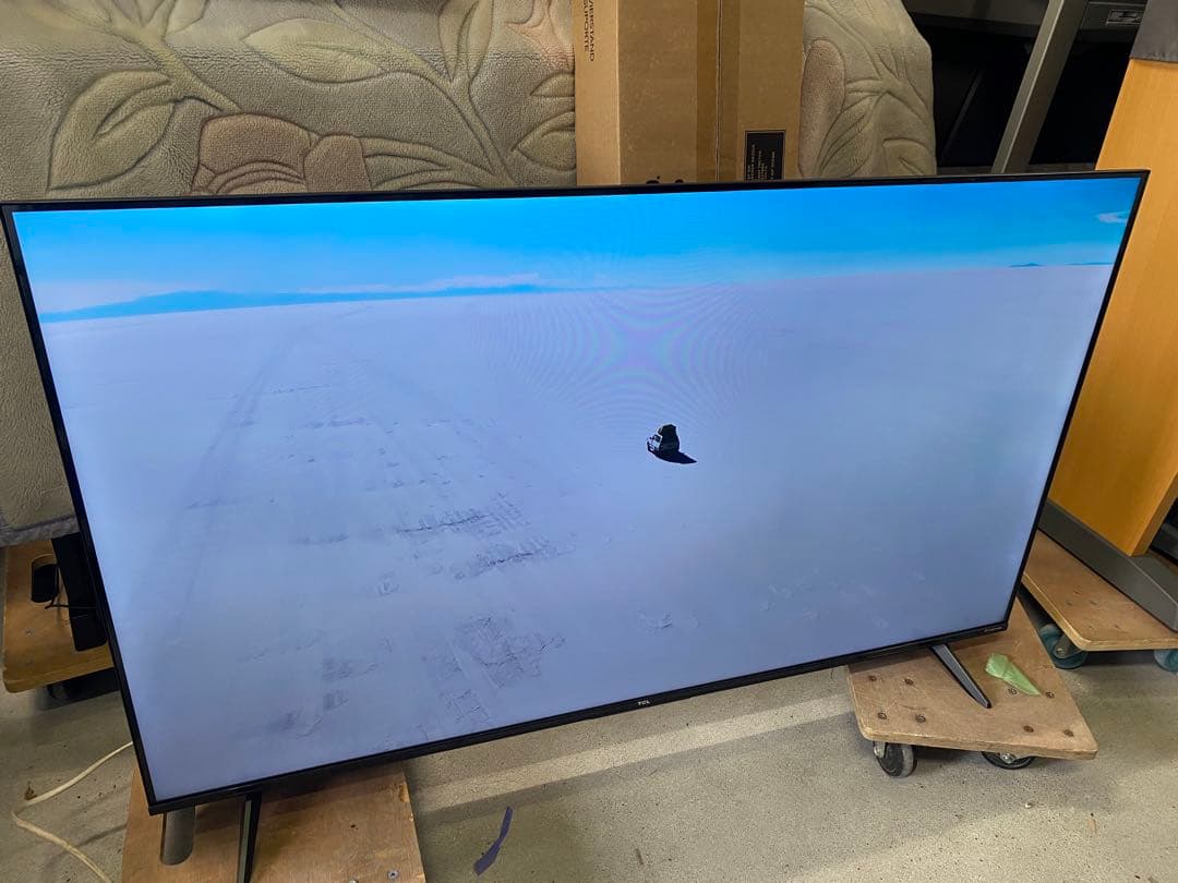 TCL チューナーレステレビ GoogleTV 50インチ2024年