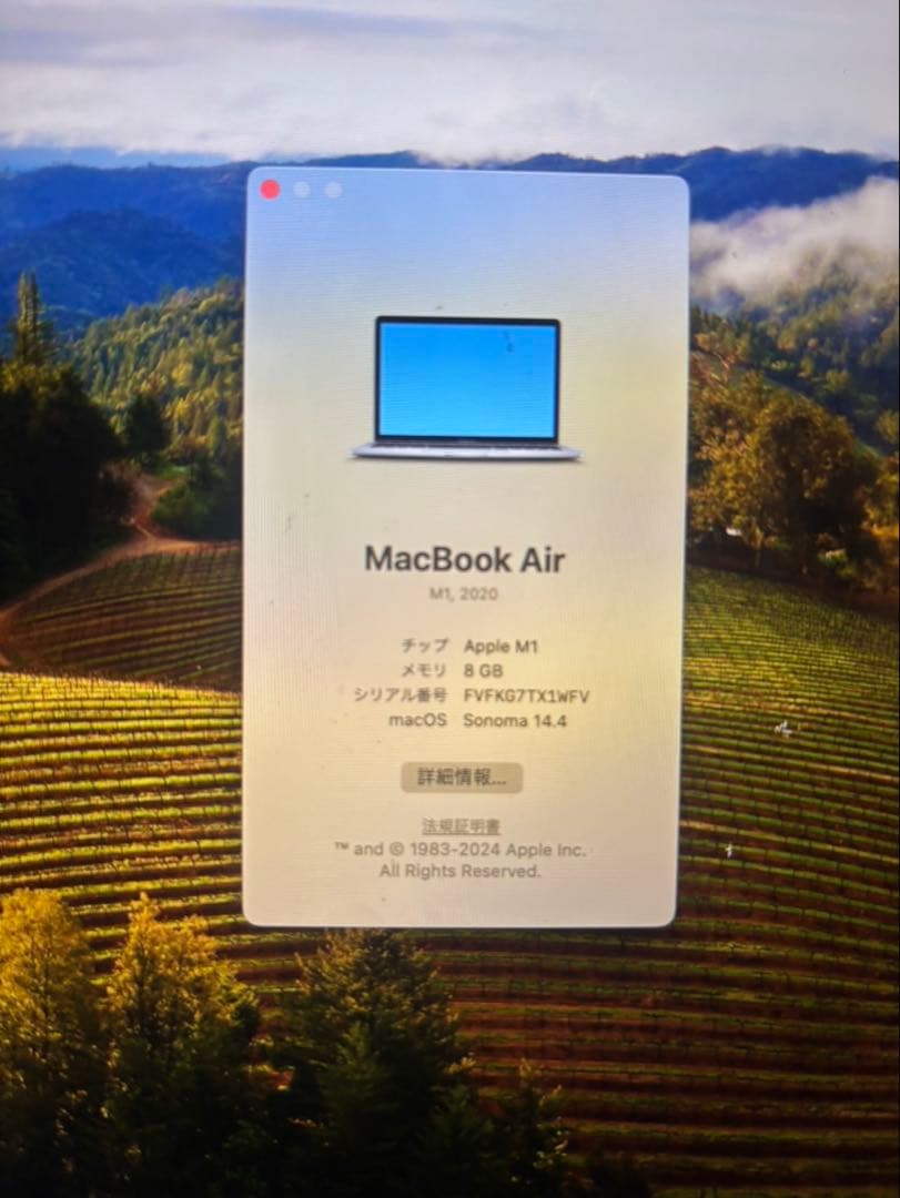 美品）MacBook Air M1 /13インチ/8GB/256GB マウス付き