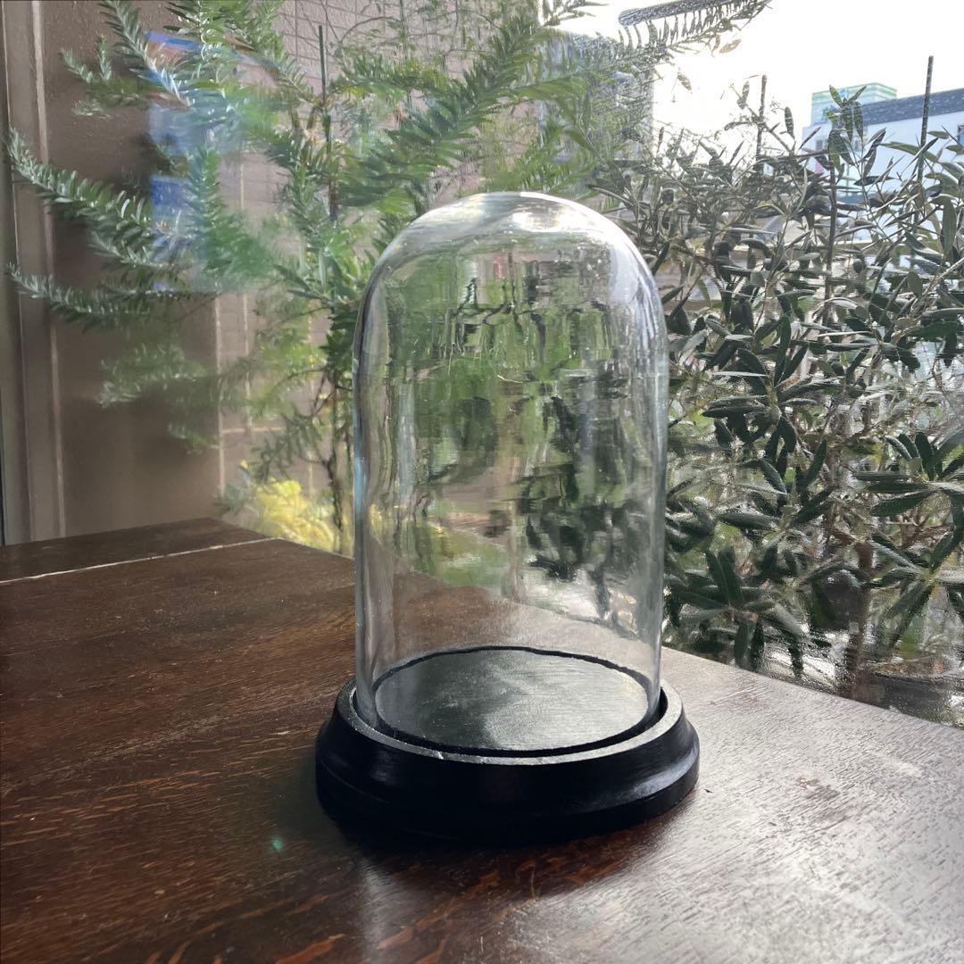 フランスアンティーク　ガラスドーム　気泡