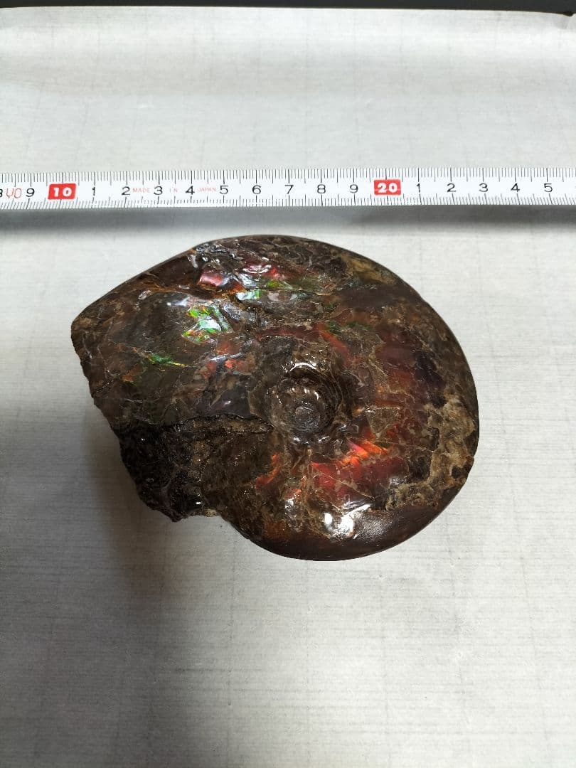 アンモライト原石