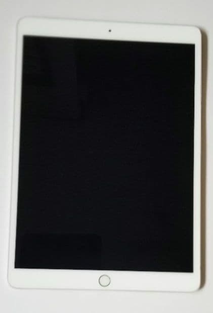 iPad Pro10.5 256gb　Wi-Fiモデル　シルバー