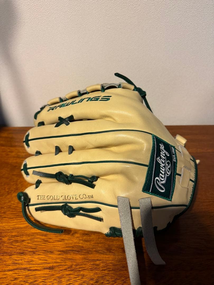 プロ実使用グローブ