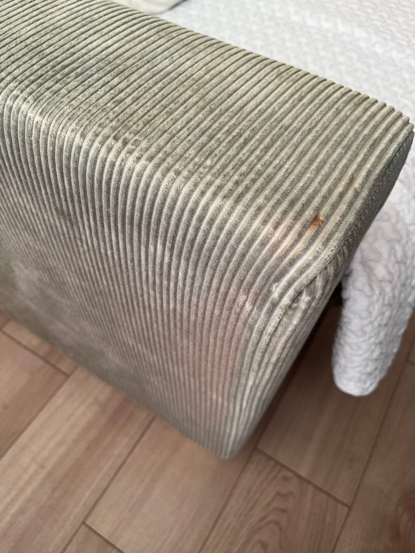 限定値引！！ジャーナルスタンダードファニチャー　LYON SOFA 2P