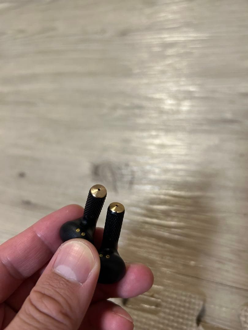 Marshall Minor Ⅳ ワイヤレスイヤホン ブラック